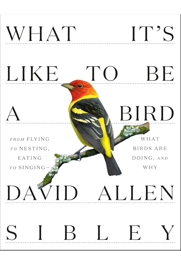 Amazon.com: Bird: 9780811870986: Zuckerman, Andrew: Books